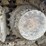 lot-details-coming-soon-image-9
