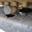 caterpillar-305e2-image-33