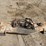 case-ih-60-image-13