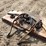 case-ih-60-image-2