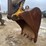 lot-details-coming-soon-image-14