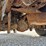 2012-ford-f250-image-22