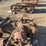 caterpillar-2-ton-image-10