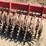 3-point-case-ih-15ft-6-row-rotary-hoe-image-4