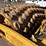 2006-caterpillar-cp-563e-image-14