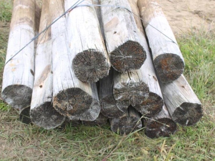 bundle-of-wood-posts-approx.-5''-x-7'-image-5