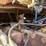 2001-caterpillar-c9-acert-image-45
