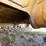 1997-caterpillar-d6r-lgp-image-79