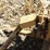katolight-electra-agri-pto-alternator-image-7