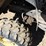 john-deere-gator-image-21