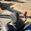 2019-kato-hd35-n4-image-19