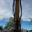 2022-caterpillar-308-cr-image-51