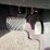 2009-nissan-rogue-image-20