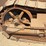 caterpillar-20-image-13