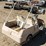 harley-davidson-golf-cart-image-5