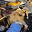 2001-caterpillar-c9-acert-image-35