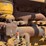 caterpillar-d7-image-24