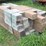 (2)-bundles-of-guardrail-posts-6''x8''x6'-long-image-2