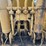 2015-komatsu-pc240-lc-10-image-27
