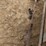 45"-x-36''-x-33"-homemade-livestock-feeder-box-image-10