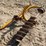 speeco-3pt-auger-with-10"-bit-image-3