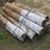 bundle-of-wood-posts-approx.-5''-x-7'-image-4