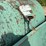 #184-•-stanwade-metal-products-skid-mounted-fuel-storage-tank-w/-fill-rite-fr4200h-pump-image-8