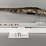 ruger-american-7mm-prc-bolt-action-rifle-sn#-694044712,-manual,-in-original-box-image-1
