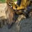 caterpillar-d3c-image-10