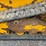 2012-caterpillar-259b3-image-11