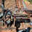 #120-•-trailer-mounted-rosserhead-debarker-image-16