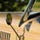 1935-ford-deluxe-phaeton-image-37