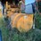 caterpillar-d398-image-4