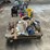 #164-•-lumber-carts-image-9