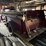 ford-f5-image-4