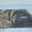 2005-great-dane-van-trailer-image-9