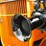 1933-ford-v8-roadster-pickup-image-200