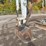 2017-takeuchi-tb290-image-13