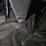 2004-kenworth-t800-image-11