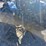 new-holland-65-image-2