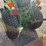 john-deere-790-image-4