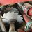 #150-•-meadows-3-saw-edger-image-3
