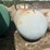 #174-•-horizontal-cylindrical-storage-tank-image-1