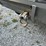 #10593-•-1986-chevrolet-d30-military-truck-4x4-pickup-1gchd34j9gf312076-inv#10593-image-12
