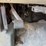 2004-ford-f450-image-69