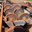 #120-•-trailer-mounted-rosserhead-debarker-image-21