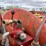 international-350-image-9