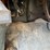 2004-ford-f450-image-71