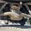 2002-toro-workman-3200-image-17