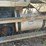#10581-•-2006-mack-cxn613-daycab-s/a-truck-tractor-1m1ak06y36n008620-inv#10581-image-37